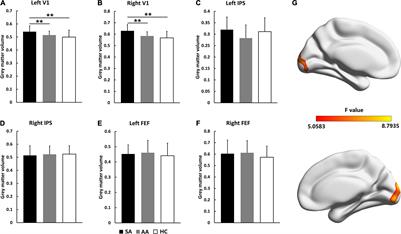 Functional Deficits and Structural Changes Associated With the Visual Attention Network During Resting State in Adult Strabismic and Anisometropic Amblyopes